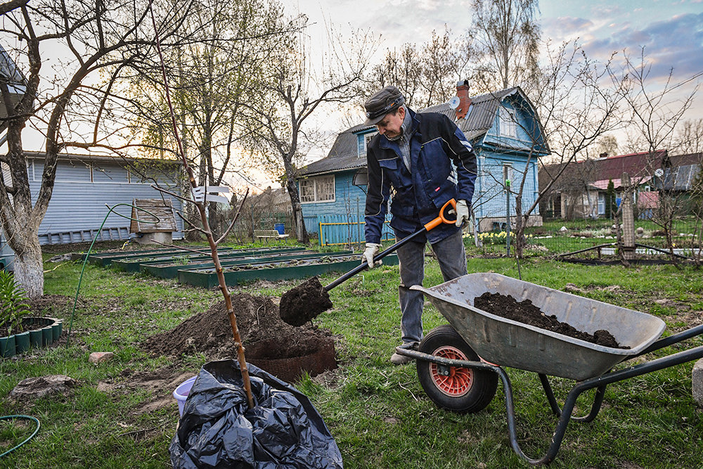 Контроль за использованием дачных участков может усилиться